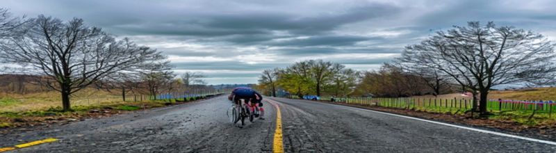 An empty rolling country road in the Belgian Ardennes climbing into low green hills under a heavy grey spring sky, leafless trees lining a metal crash barrier on the right, soft yellow-green new foliage on the verges, two distant church towers on a hill, no riders, no spectators, no people no faces no hands